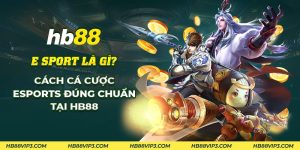 58 E sport la gi Cach ca cuoc Esports dung chuan tai HB88