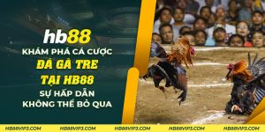 68 Kham pha ca cuoc da ga tre tai HB88 Su hap dan khong the bo qua